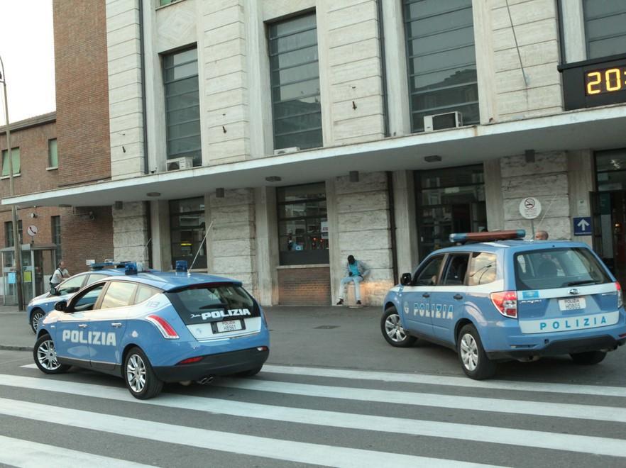 Le telecamere hanno ripreso il branco 
