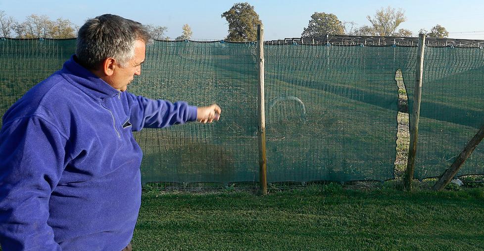 Paganine, svuotata la “dispensa” dell’agriturismo Rubbio 