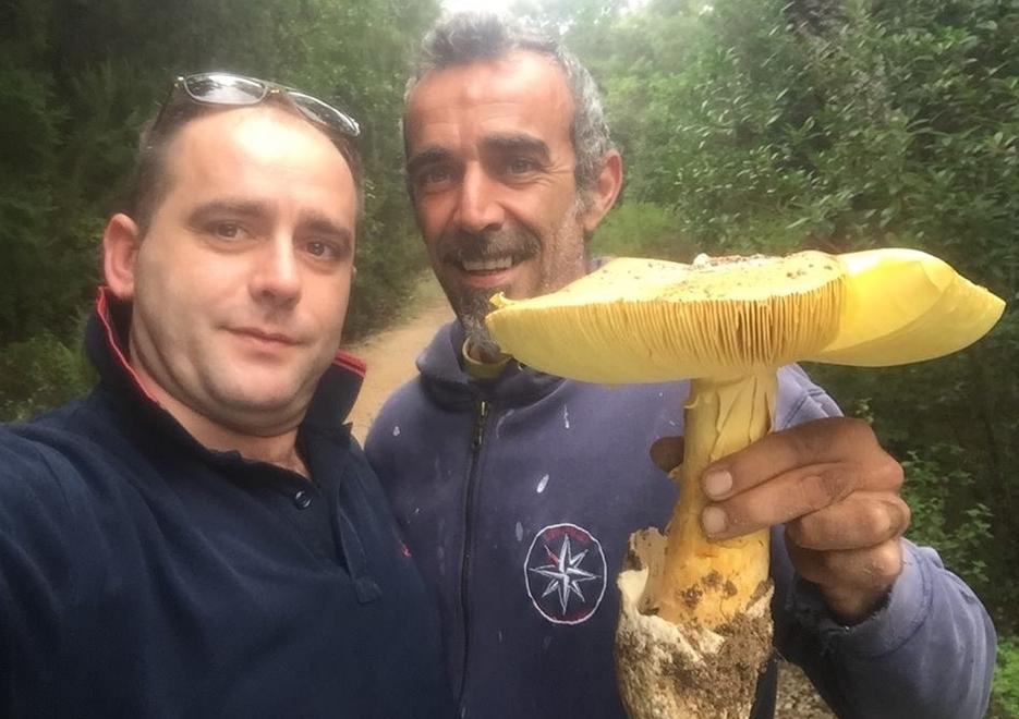 L'ovulo da un chilo e 66 grammi trovato a Luogosanto