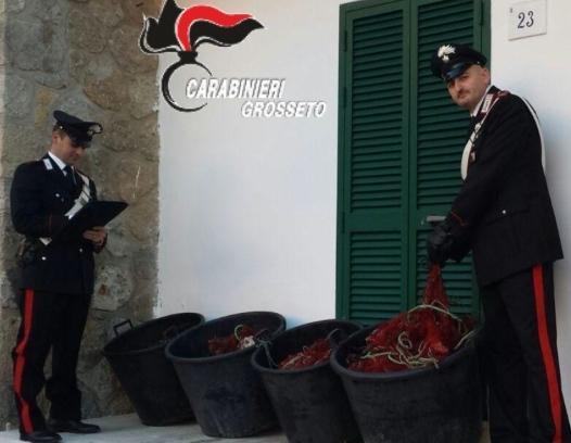 Furto di reti da pesca: denunciati 