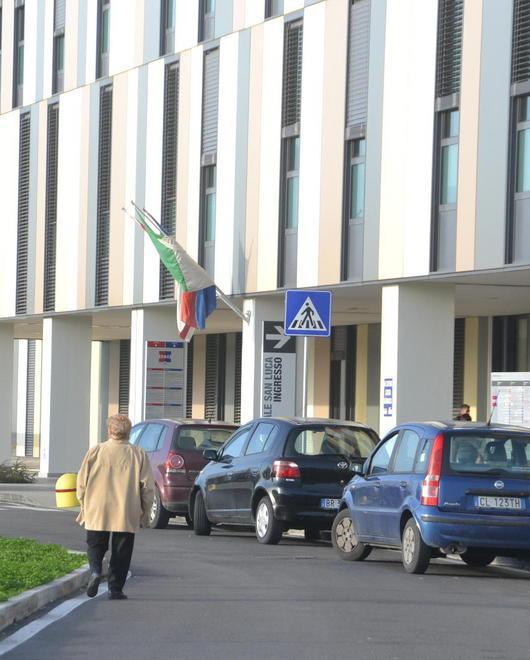 Cade da un albero di due metri: ricoverato