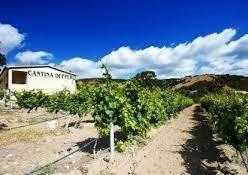 Pioggia di chiocciole per la cantina Depperu 