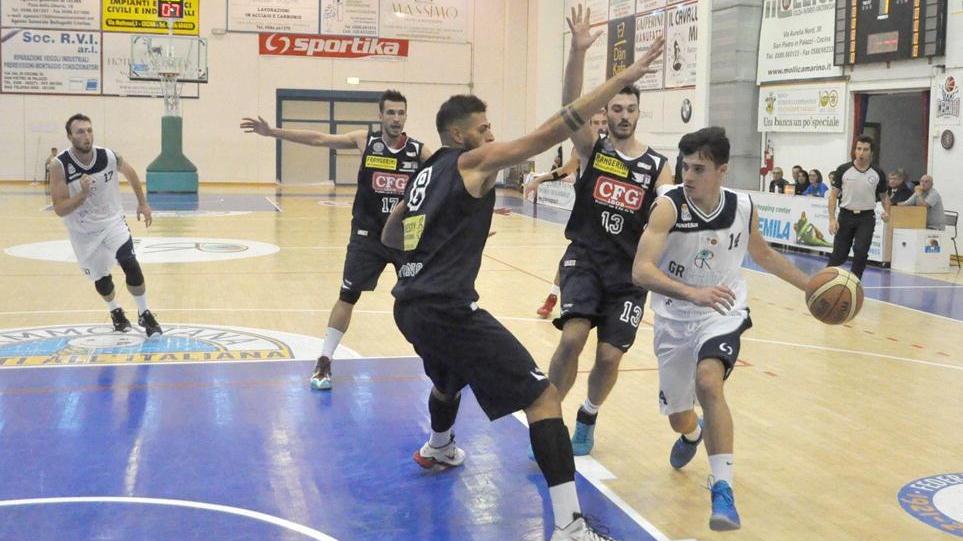 Caroti in attacco