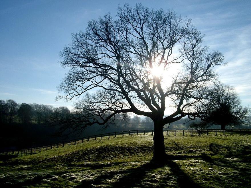 Prima parte d'inverno mite per gli esperti e solo da gennaio il freddo