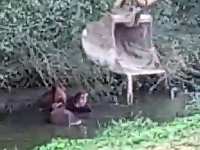 Il proprietario in acqua mentre cerca di salvare la sua cavalla