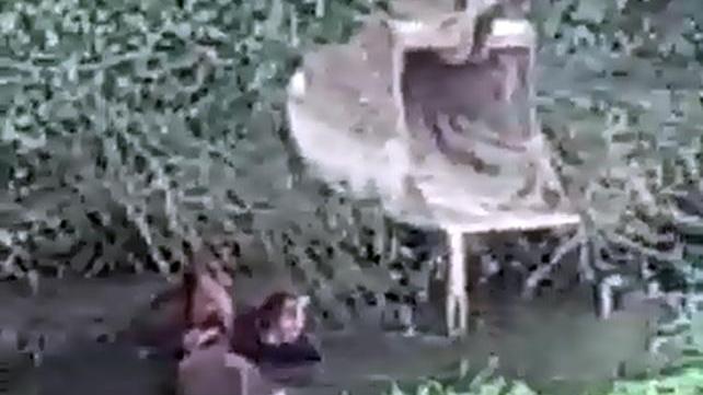 Il proprietario in acqua mentre cerca di salvare la sua cavalla