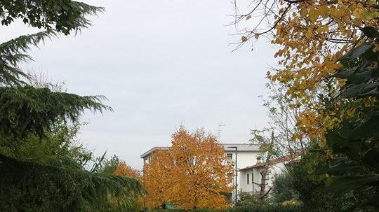 Un tratto di pista ciclabile che sarà inaugurato sabato