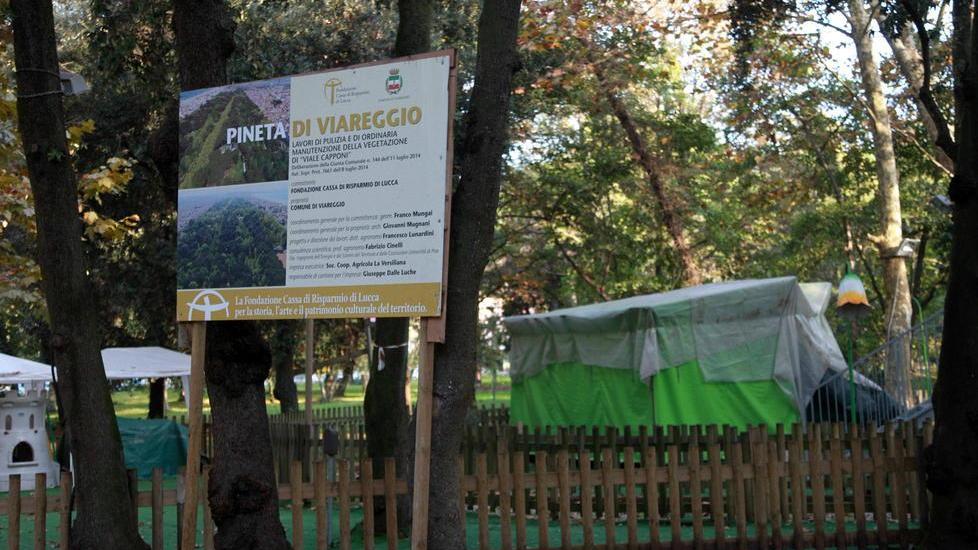 Pineta di Ponente: un milione di lavori
