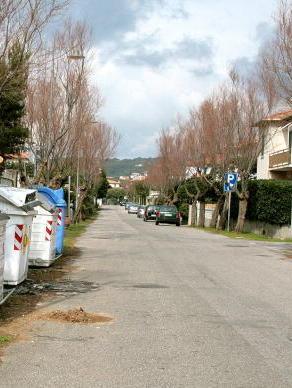 Pro Loco, rinnovati i vertici Eletti i nuovi consiglieri