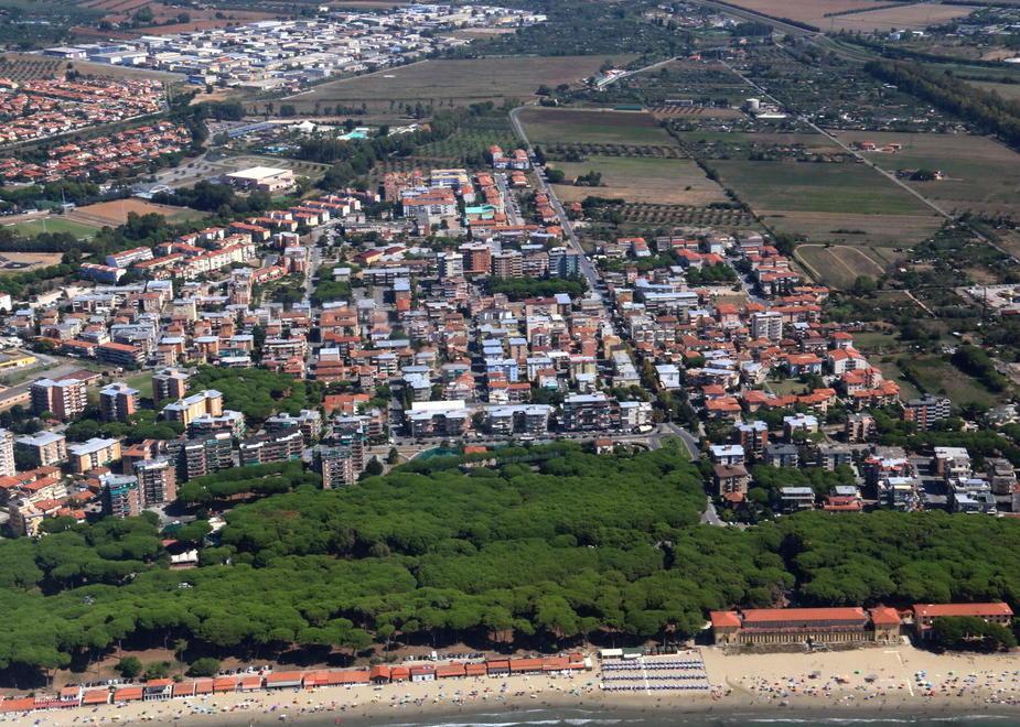 Cura del verde: gestore unico 