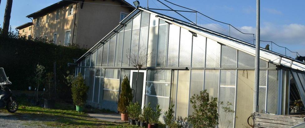 Vivai Testi, l’acquisto è vicino 
