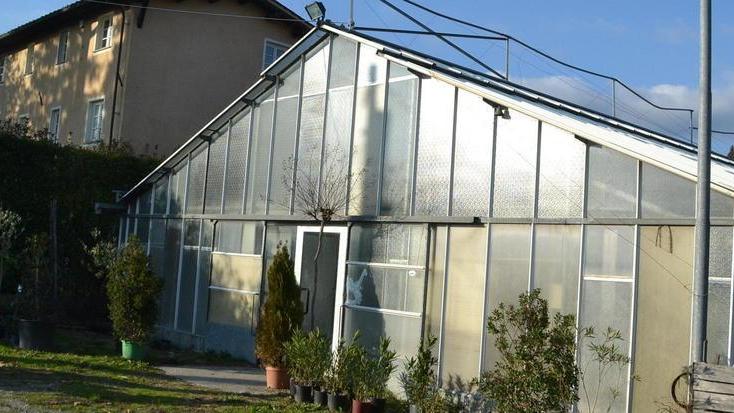 Vivai Testi, l’acquisto è vicino