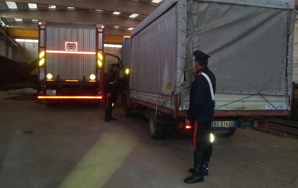 Pratosardo, ritrovati camion rubati 