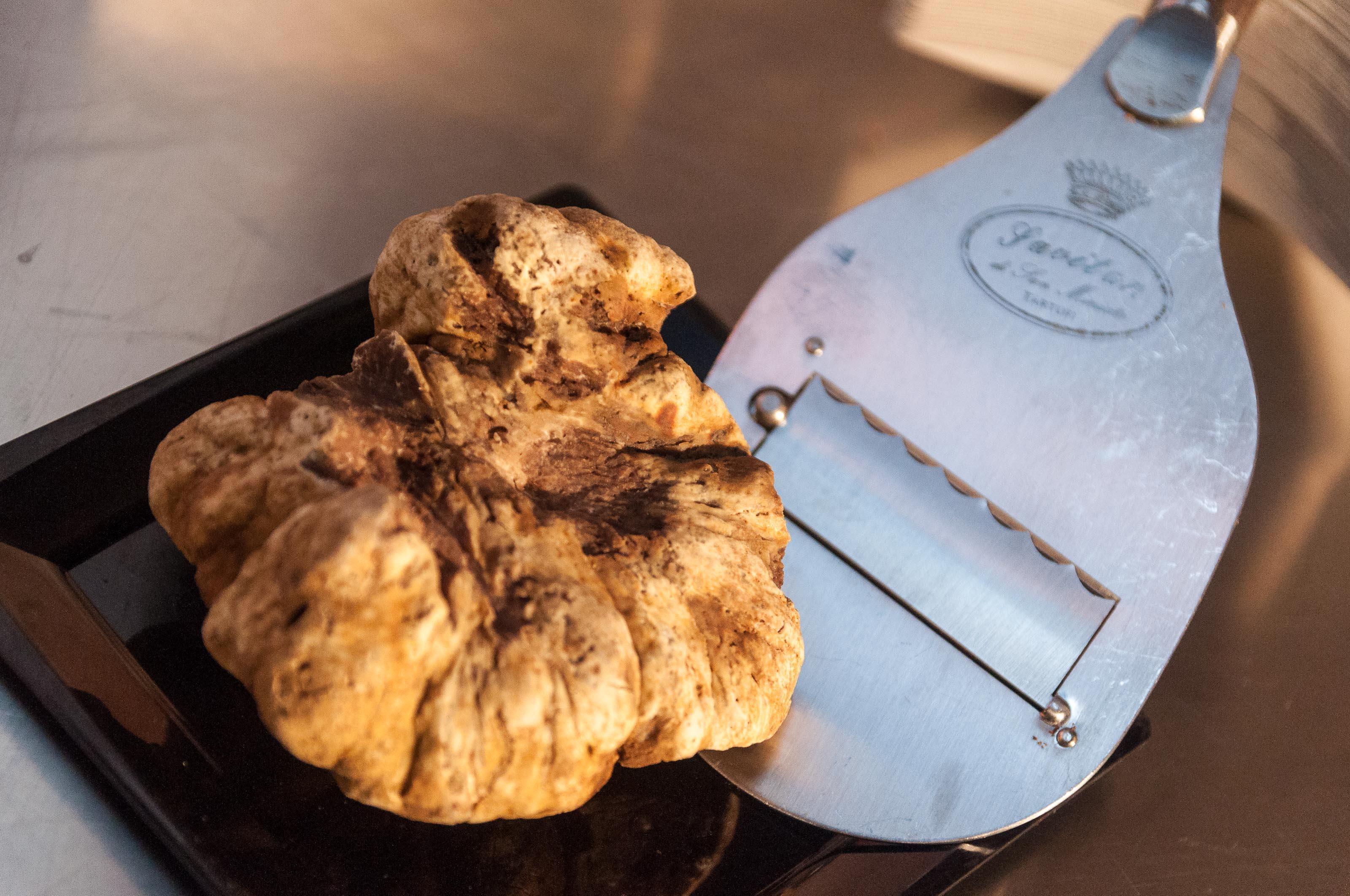 San Miniato regno del tartufo bianco