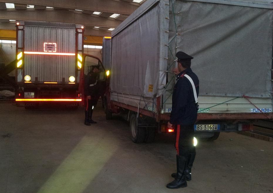 Ritrovati i camion rubati a Spissu 