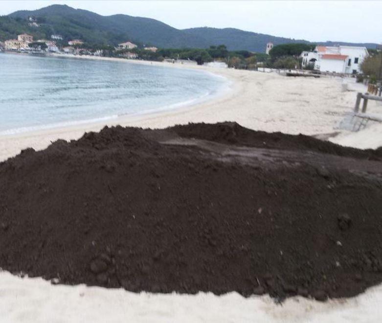 La Provincia ferma il ripascimento 