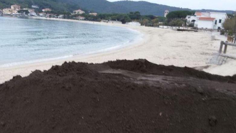La Provincia ferma il ripascimento