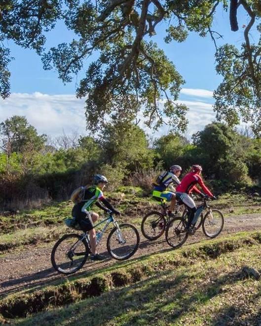 Mountain bike, in sella per scoprire la Marmilla