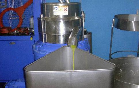 Olio, Seneghe risponde puntando sulla qualità 