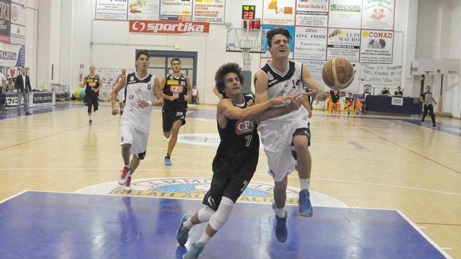Caroti in azione (Foto Falorni)