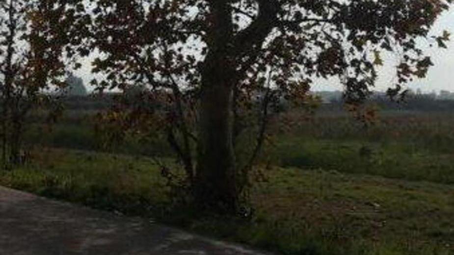 Schianto mortale contro un albero