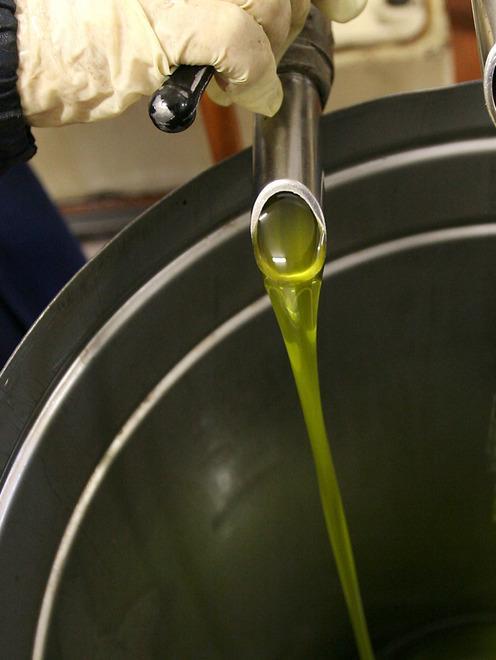 Non solo olio, tre giorni con l’oro verde 