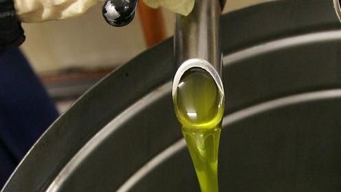 Non solo olio, tre giorni con l’oro verde