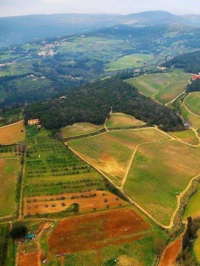Primo voto sulla fusione a Riparbella e Castellina 