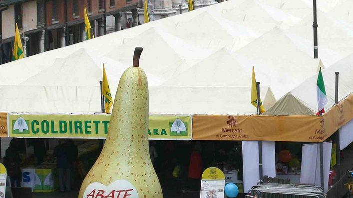 La Giornata del ringraziamento