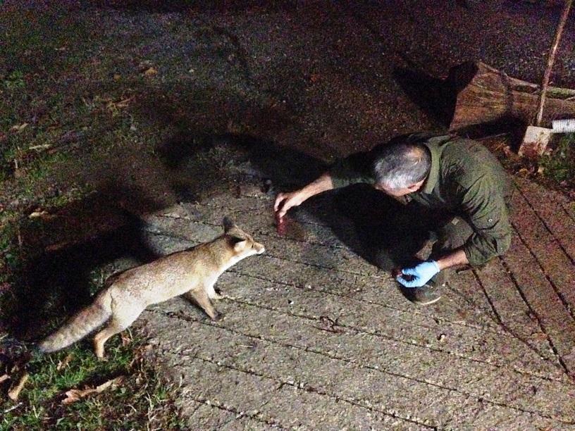 Baruffa si avvicina a Francesco che le dà la carne