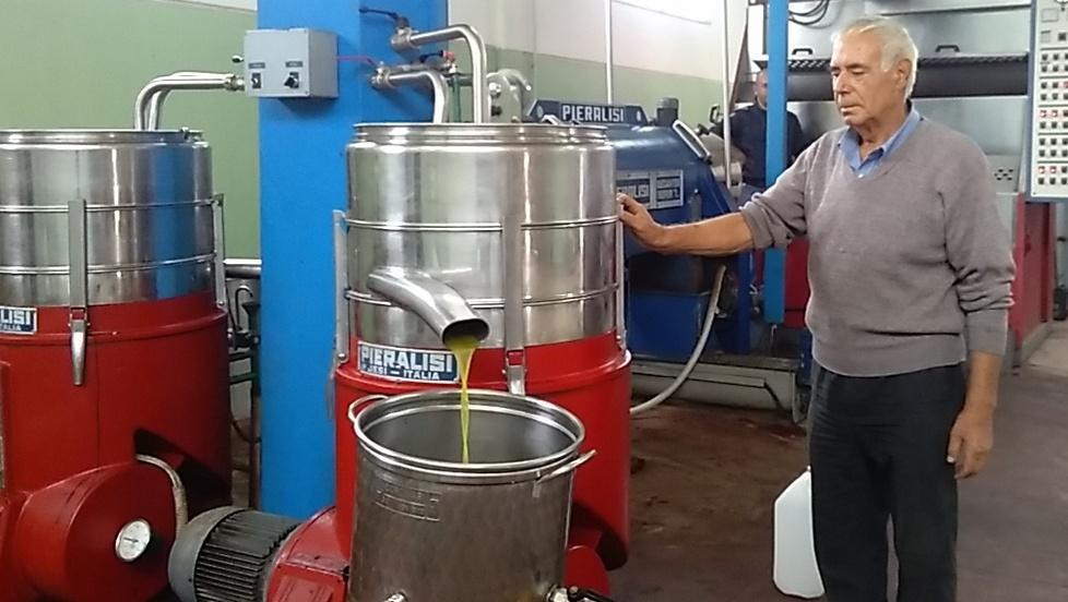 Raccolta delle olive, primi bilanci «Poco olio ma di buona qualità» 