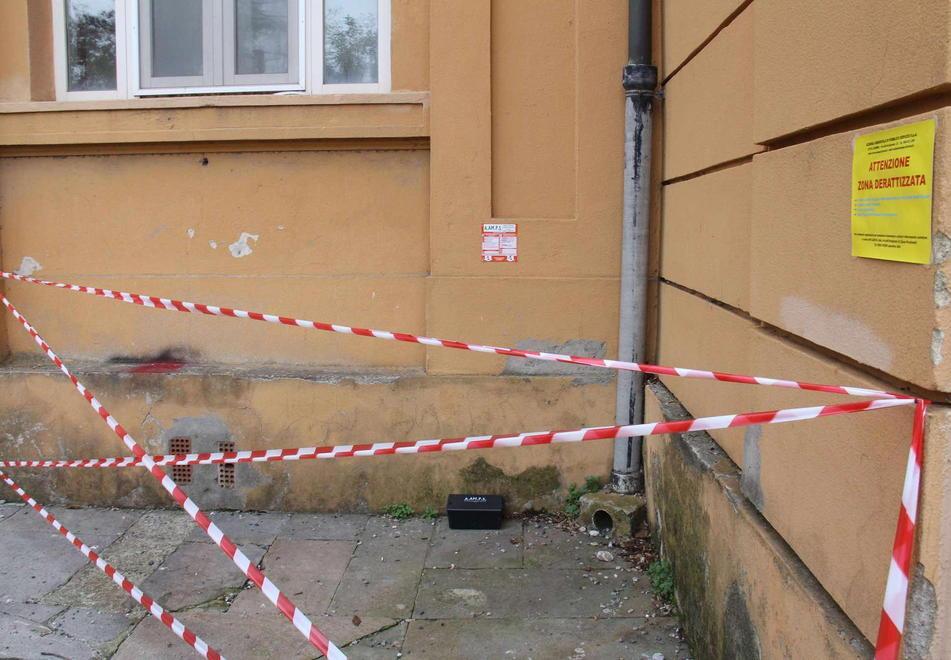 Fatta la derattizzazione, via i topi alle Micheli