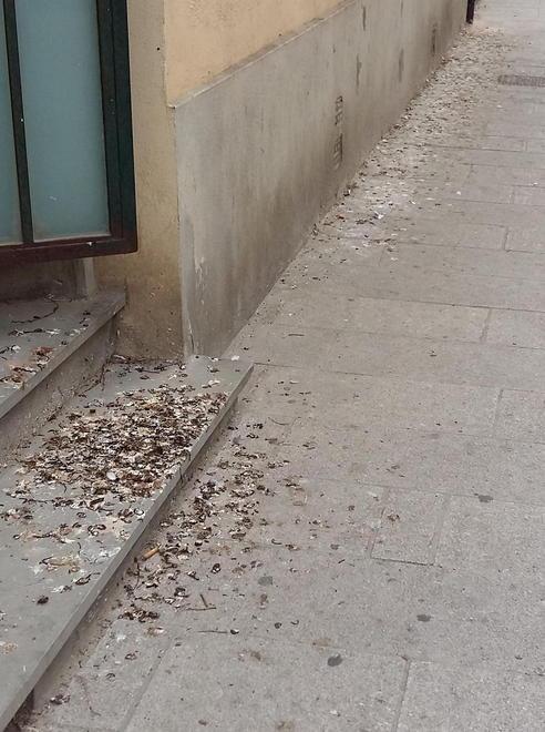Studenti sul tappeto di guano 