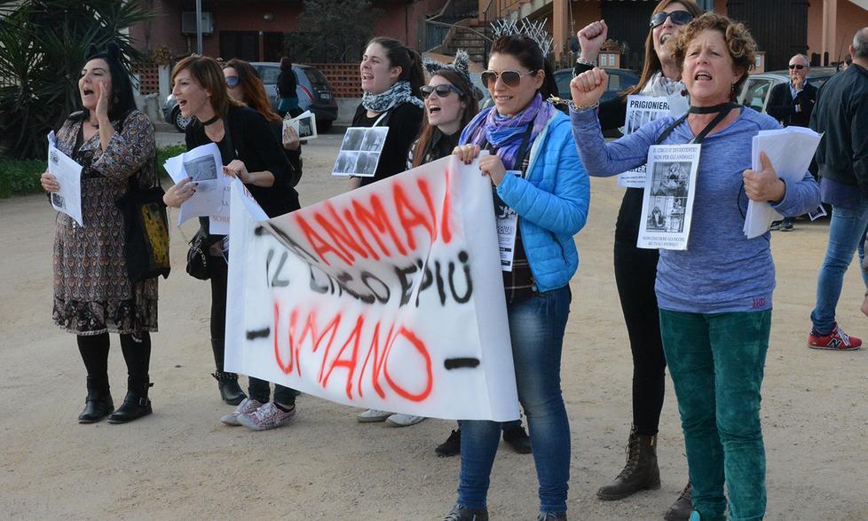 La protesta per salvare gli animali