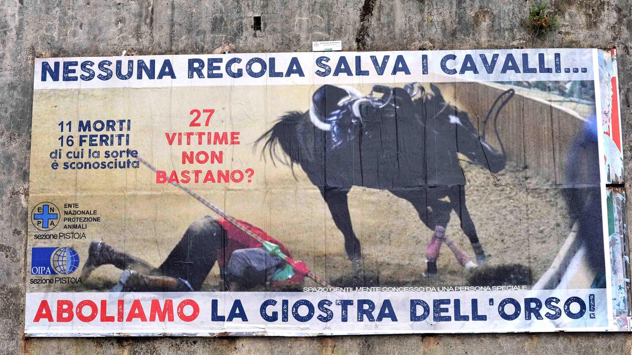 "Aboliamo la Giostra": arrivano i manifesti-choc degli animalisti - VIDEO