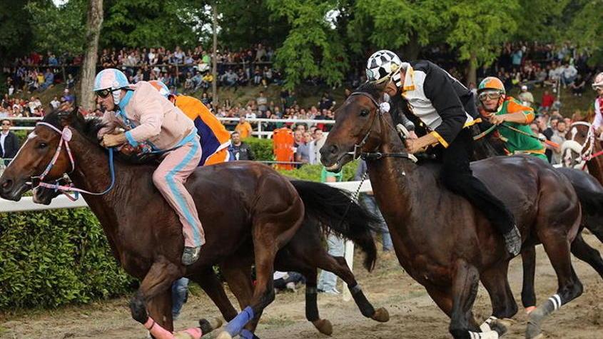 Palio, si dimette dal Cda il consigliere Del Gronchio