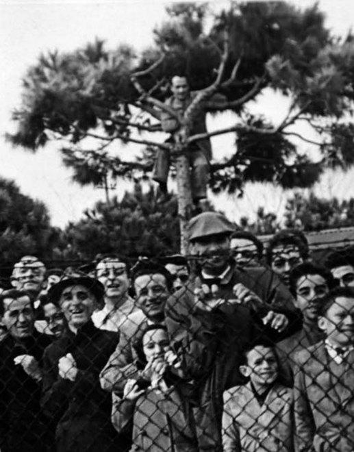 La mia gioia di undicenne in curva 