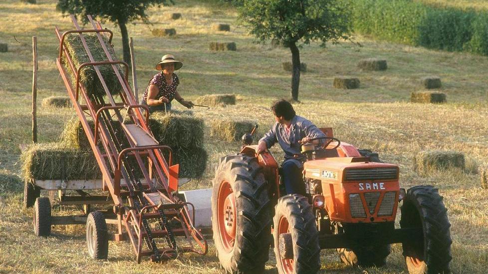 «Studiamo come migliorare le condizioni di lavoro»