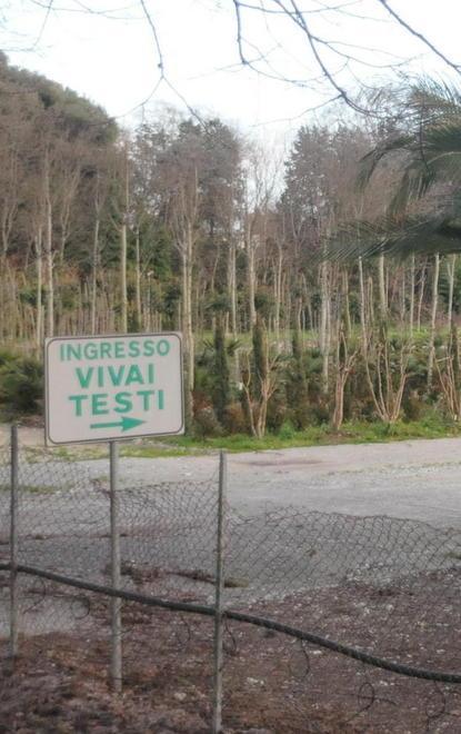 «Sì all’acquisto dei vivai, ma non per trasferirci i Games»