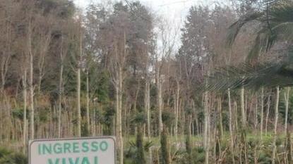 «Sì all’acquisto dei vivai, ma non per trasferirci i Games»