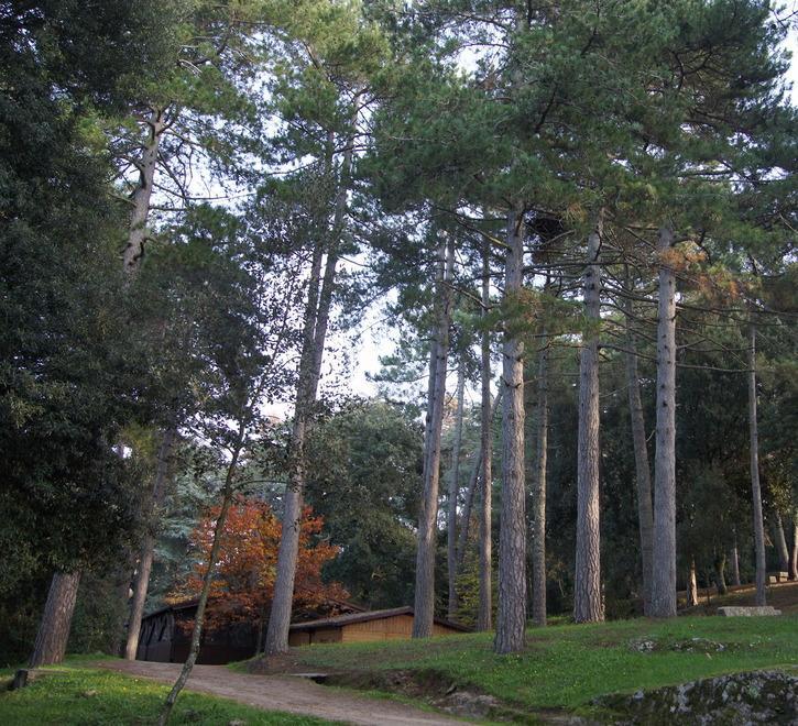 Il polmone verde respira aria nuova, via al restyling 