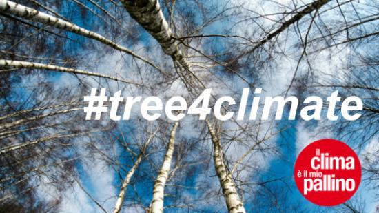 Torna la festa dell'albero organizzata da Legambiente
