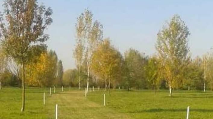 Nuovo percorso pedonale realizzato dai volontari Auser