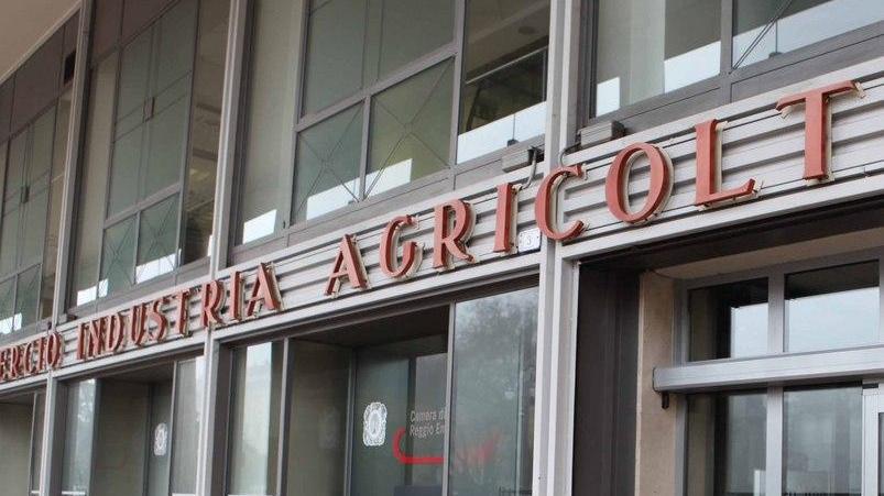Società di capitali, consorzi e coop: bilanci in crescita