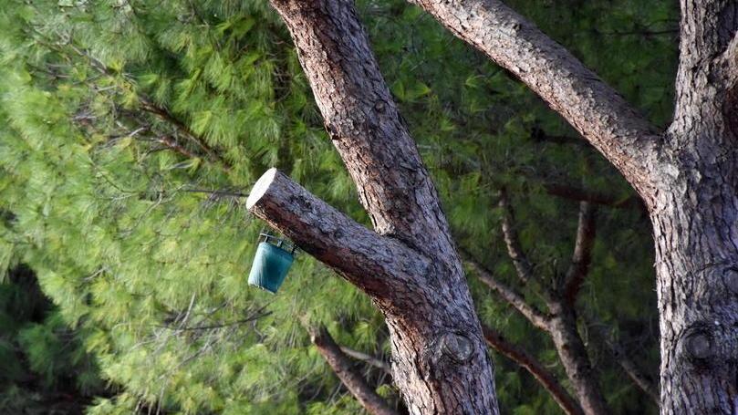 Uno degli otto dissuasori sonori installati dal Comune per allontanare gli storni. Questo è quello installato vicino alla scuola media di via Garigliano (foto Agenzia Bf)