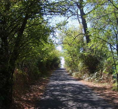 Analisi sulle strade a rischio frana 