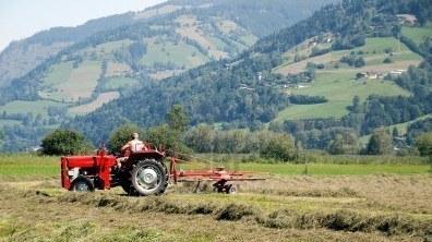 L’economia in Appennino punta avanti con i giovani 