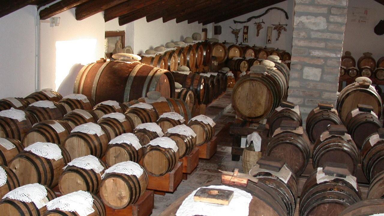 Le botti di un'acetaia