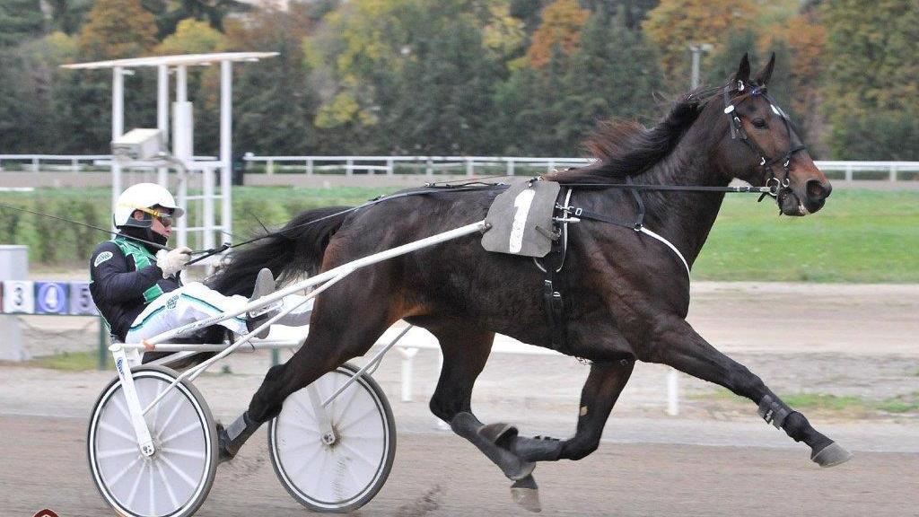 Radiofreccia Fi con Enrico Bellei alla guida (Foto Rosellini)