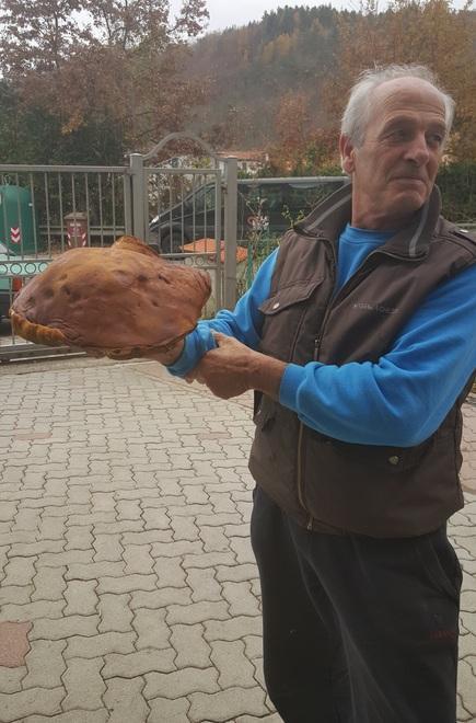 Trovato un porcino di oltre un chilo